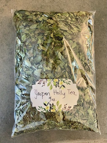 Bulk yaupon holly tea 4 - yaupon,