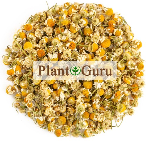 Chamomile flowers whole - chamomile,